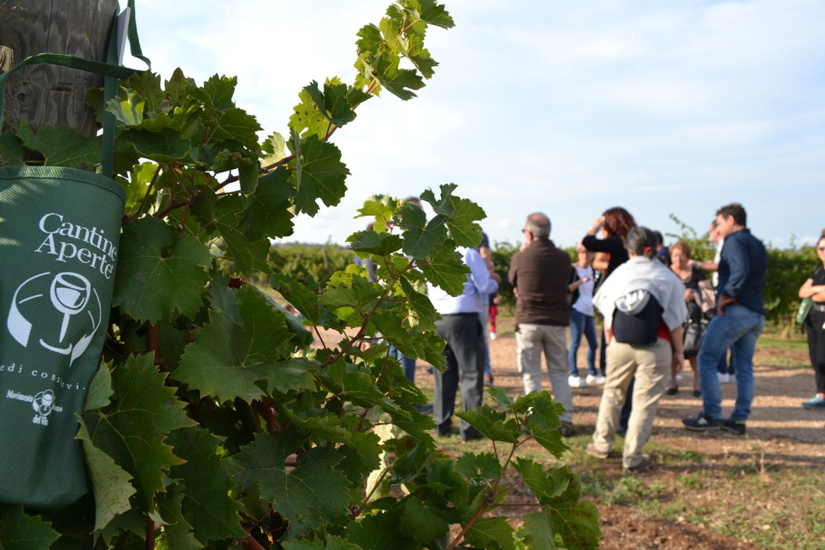 Successo per Cantine Aperte in Vendemmia