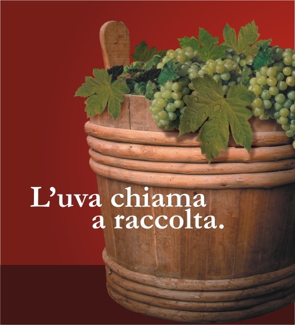 Benvenuta Vendemmia 2013