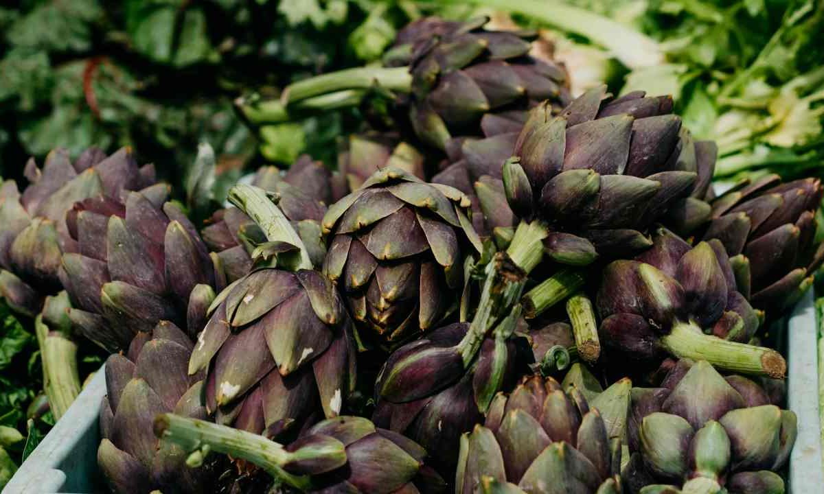 Carciofi
