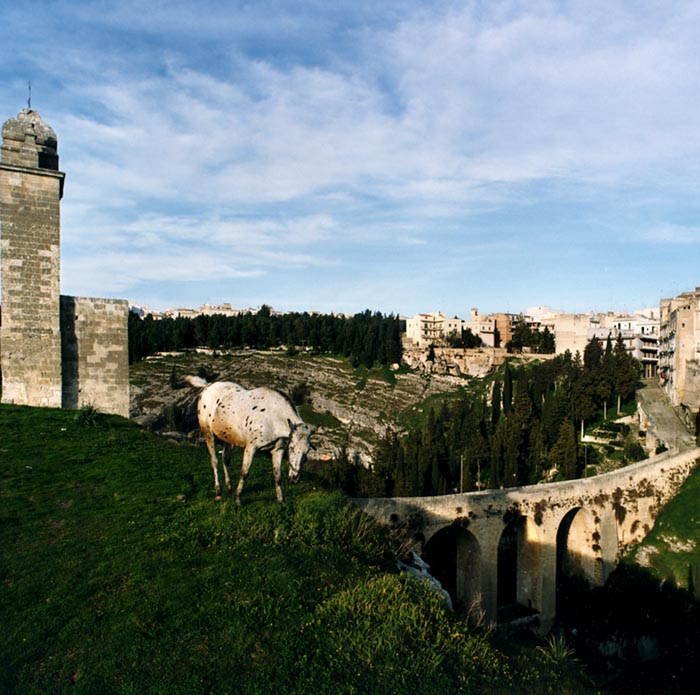 La Murgia carsica e la Valle d’Itria