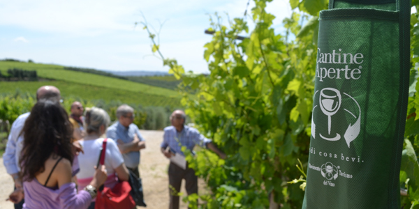 Domenica Cantine Aperte in Puglia