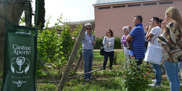 Cantine Aperte in Vendemmia 2016: il questionario di valutazione!