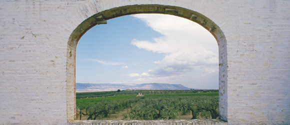 CANTINE APERTE 2014: I SAPORI DELLA DAUNIA