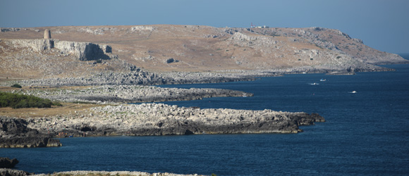 CANTINE APERTE/CARPOOLING: GRECIA SALENTINA E COSTA ADRIATICA
