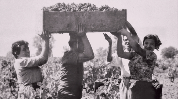 Lu Cupucanali @ Tenute Emera