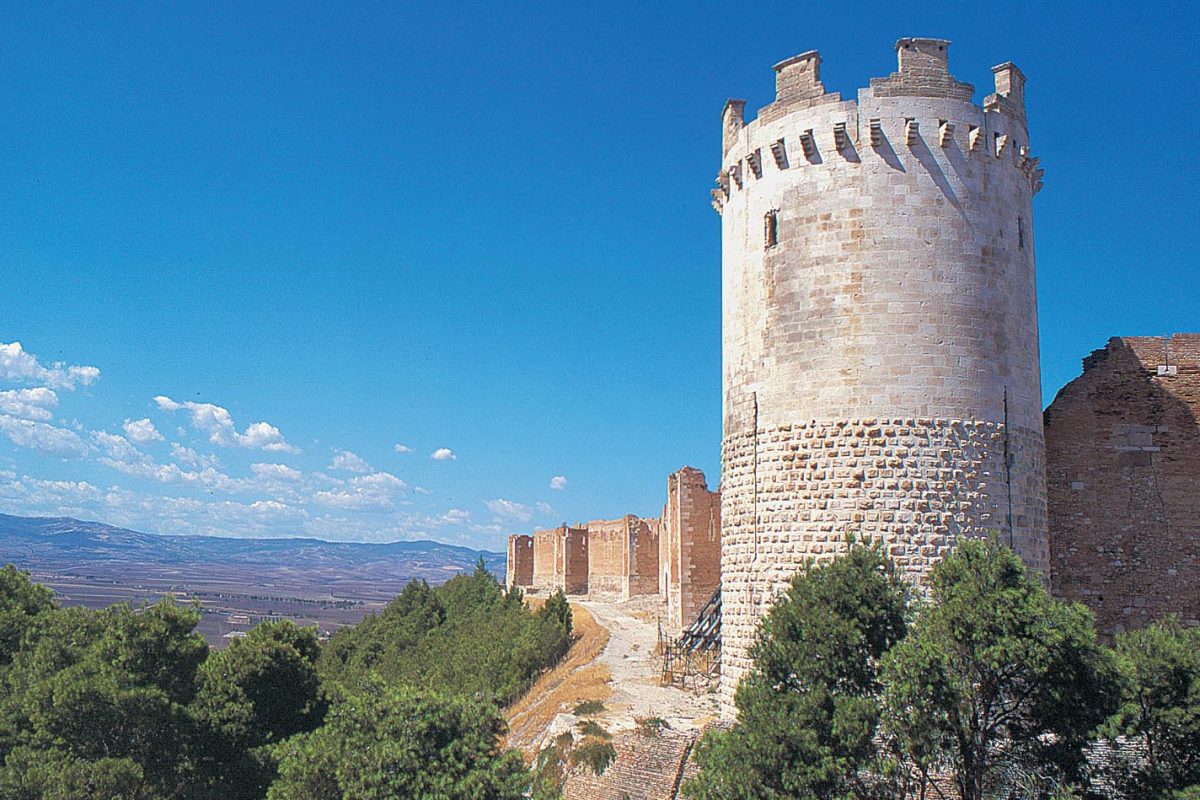 Accogliente Capitanata