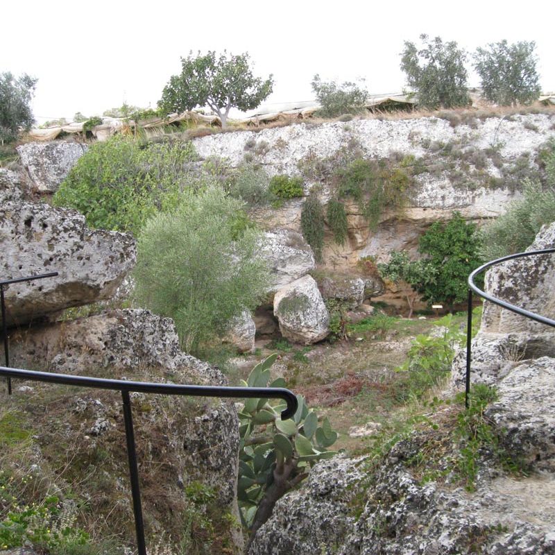 Le tenute del Primitivo