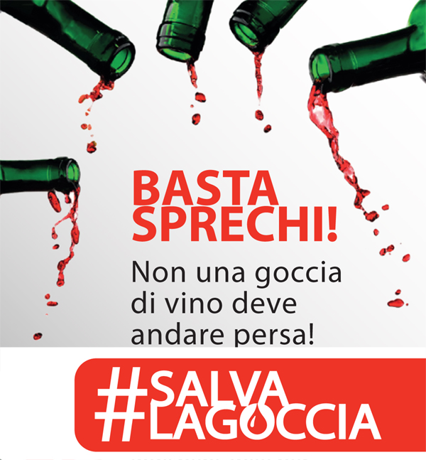 CANTINE APERTE IN VENDEMMIA DIVULGA, FORMA E INFORMA